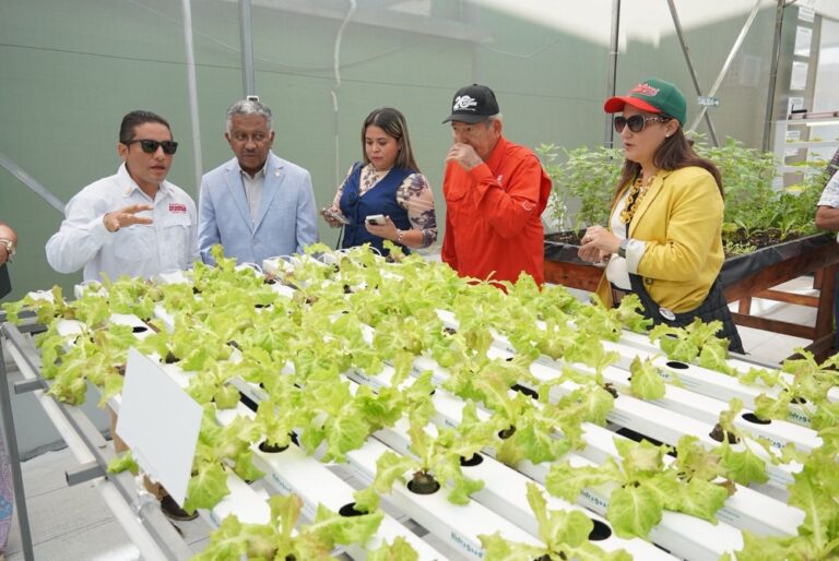 WhatsApp Image 2026-03-13 at 12.51.08 PM