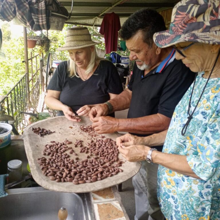 ad9c13c8-de0c-42cf-a0ad-7d47f5e4d5f7