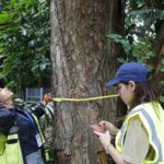 Inventario de arboles en Biomuseo (13)