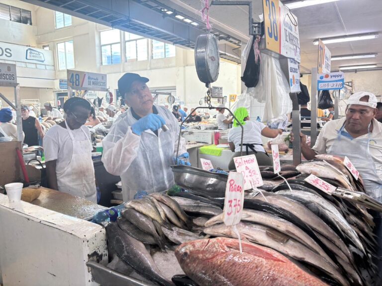 Verificación de balanzas en el Mercado de Mariscos