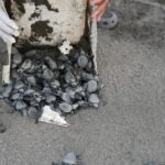 WhatsApp Image 2026-04-01 at 10.30.09 AM (4)