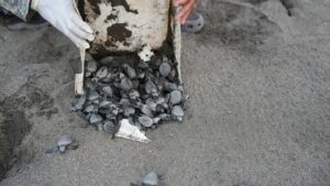 WhatsApp Image 2026-04-01 at 10.30.09 AM (4)