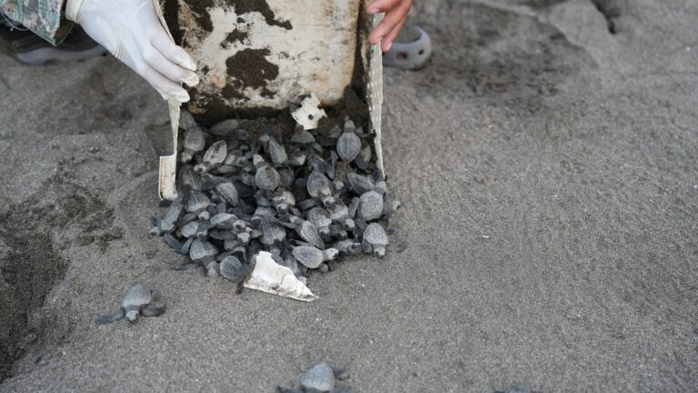 WhatsApp Image 2026-04-01 at 10.30.09 AM (4)