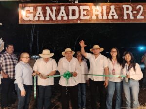 eded9c00-eb1b-44c0-8779-2adfe754b1b8