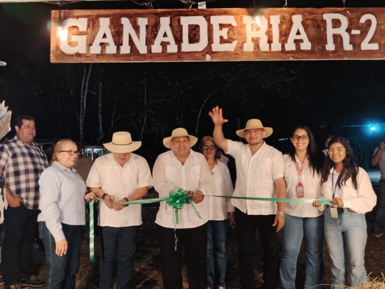 eded9c00-eb1b-44c0-8779-2adfe754b1b8