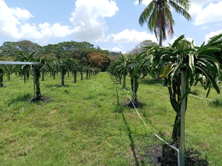 74b8079c-a358-491b-be96-65dab0753c23